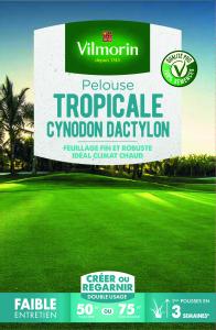 Pelouse Tropicale - Cynodon Dactylon 500 G